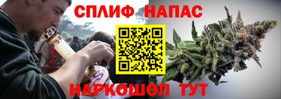 дмт Будённовск