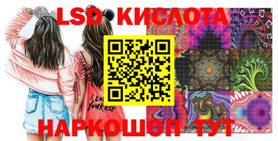 дмт Будённовск