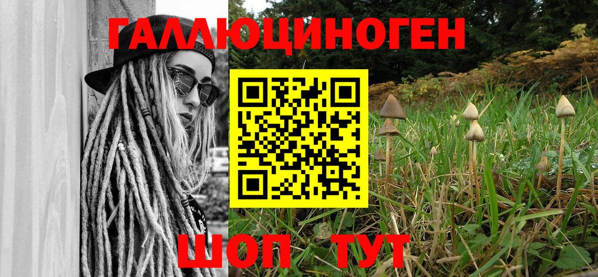 Псилоцибиновые грибы мухоморы  Галлюциногенные грибы MAGIC MUSHROOMS  Чехов  Вход с VPN 